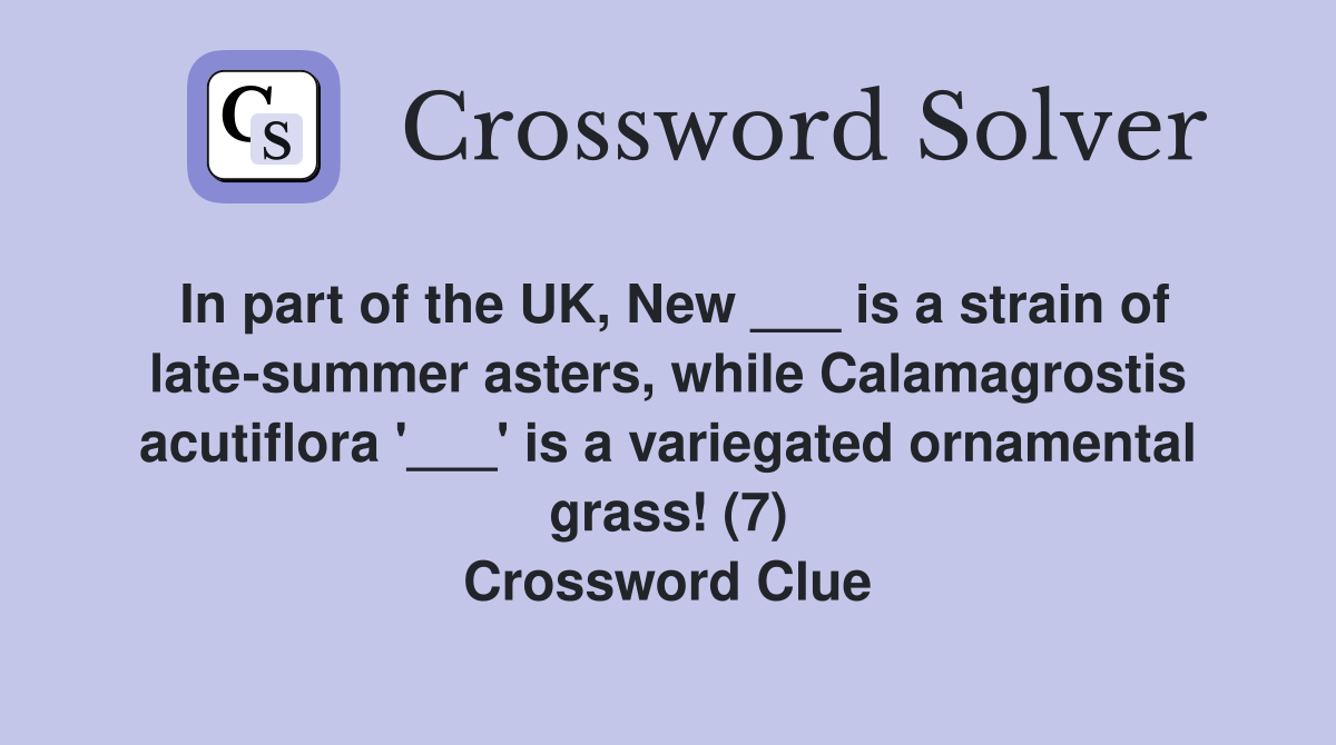 In part of the UK, New ___ is a strain of latesummer asters, while